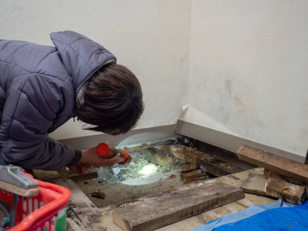 Best Real Estate Mold Inspection  in Regency At Monroe, NJ
