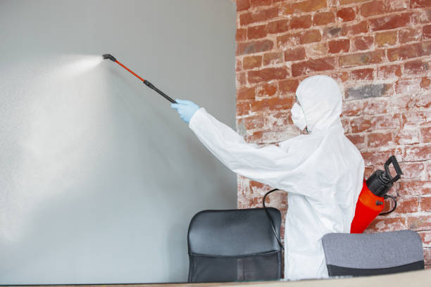Dehumidification Services in Regency At Monroe, NJ