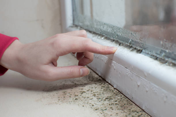 Best Asbestos and Lead Testing During Mold Inspection  in Regency At Monroe, NJ