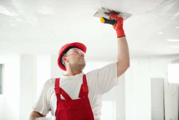 Best Water Damage & Mold Remediation  in Regency At Monroe, NJ