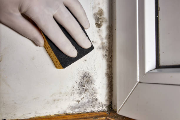 Mold Documentation for Insurance Claims in Regency At Monroe, NJ