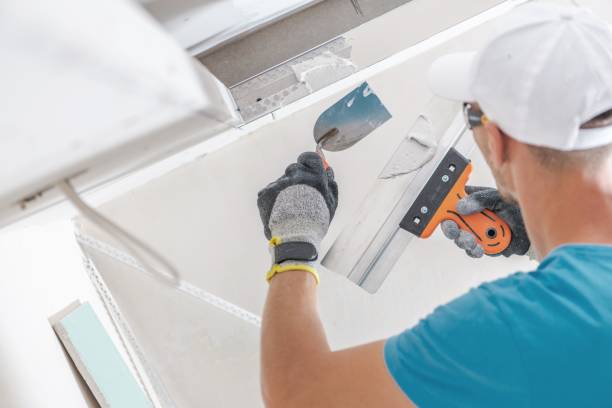 Best Environmental Consulting for Mold Prevention  in Regency At Monroe, NJ